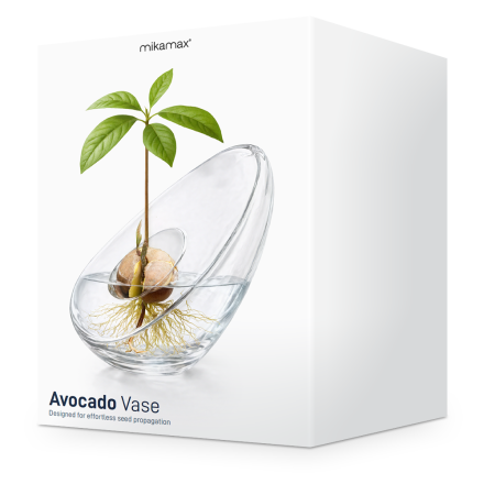 Avocado Vase