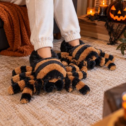 Tarantula Slipper