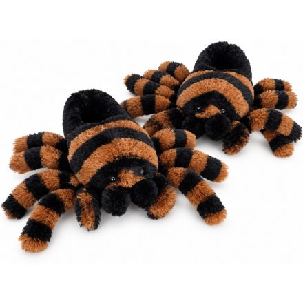 Tarantula Slipper