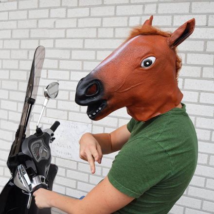 02880-HO---Horse-Mask