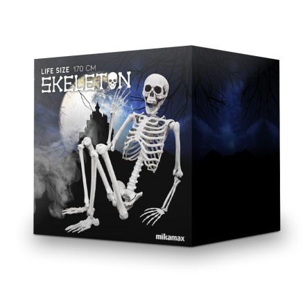 Life Size Skeleton - 170 cm