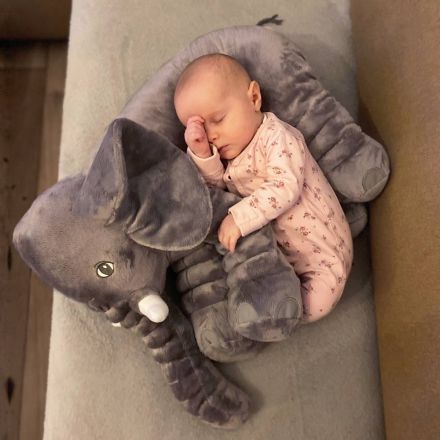 Elephant pillow