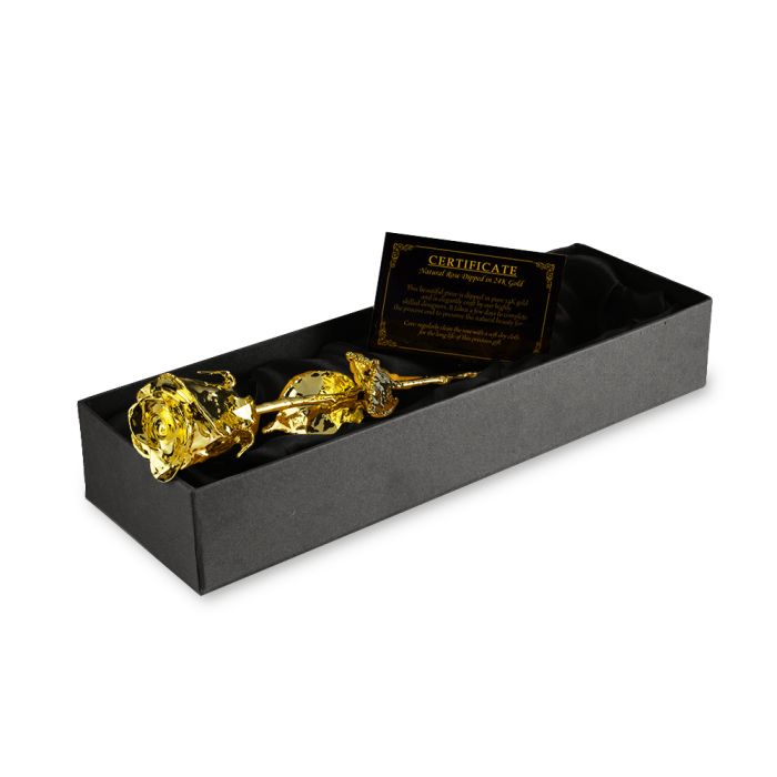 24K Golden Rose
