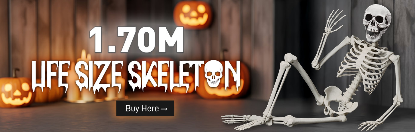 Lifesize Skeleton